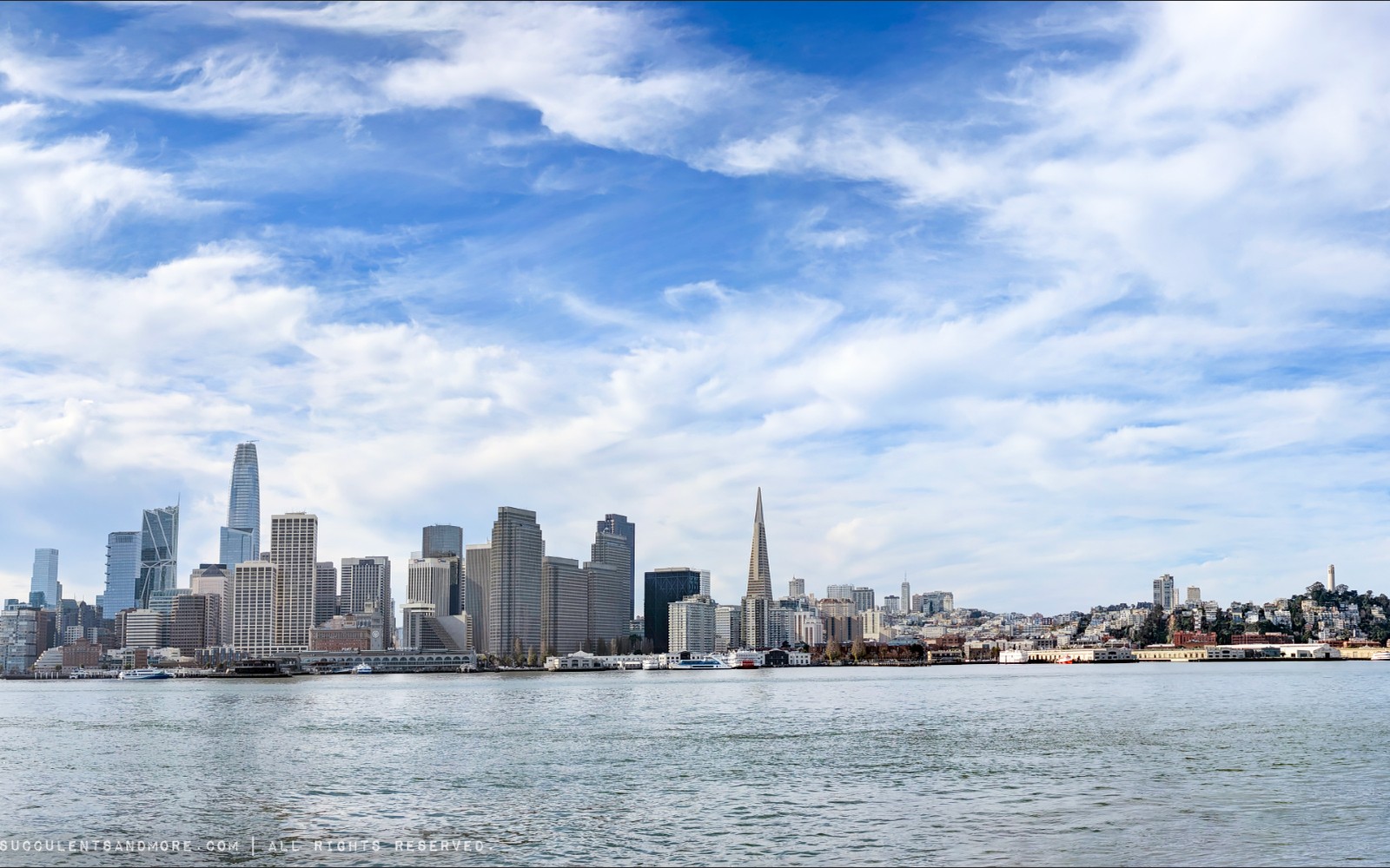 Juicing Equipment Financing in San Francisco, CA
